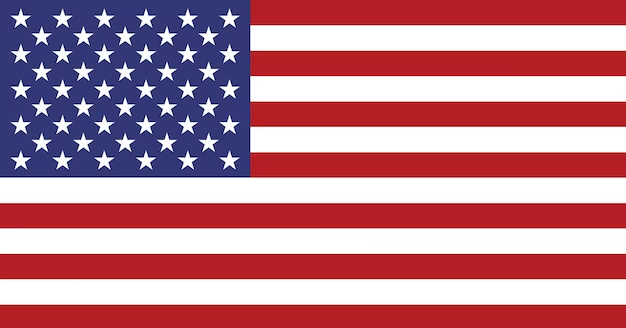 USAFLAG1